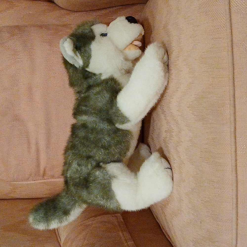 Build-A-Bear Husky - Picture 2 of 8